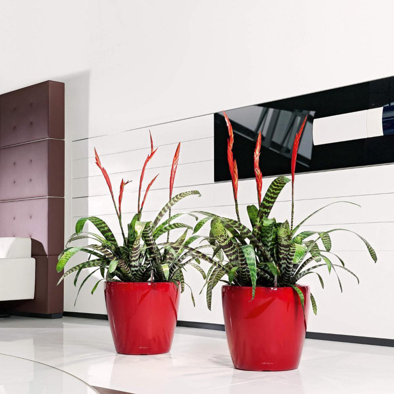 Classico Pot Planter, Scarlet Red, 40cm H x 43cm W x 43cm D