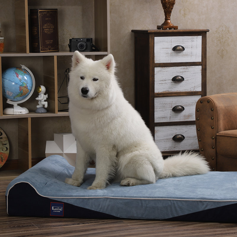 Traversin géant pour chien, L 46 po x P 28 po x H 8 po, Bleu