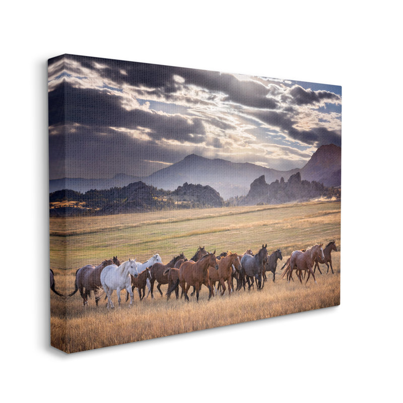 Chevaux au galop, montagnes nuageuses par PHBurchett, H 36 po x l 48 po x P 1,5 po