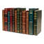 12 Piece Rebound Decorative Book Set