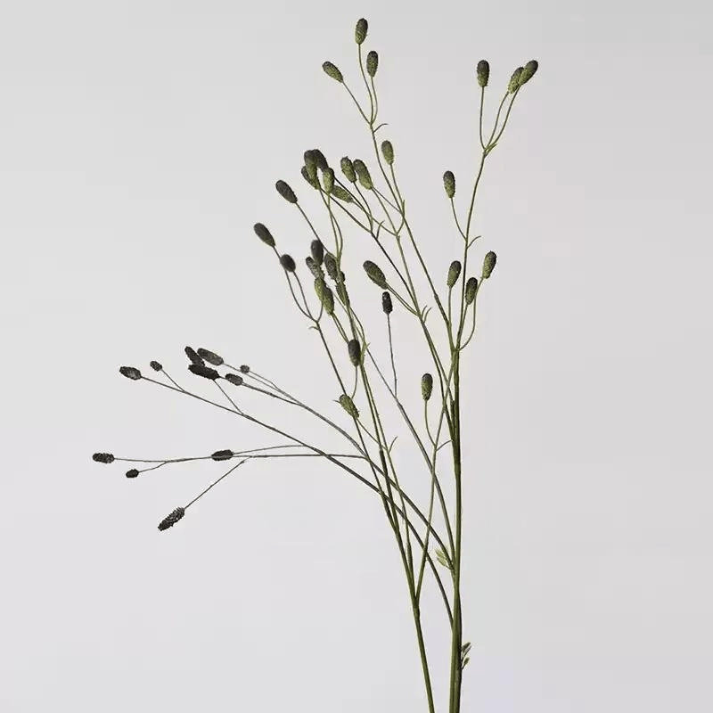 Vaporisateur de sang Sanguisorba, Speckled Violet, [A] 1 Stem