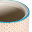 Porcelain China Canister