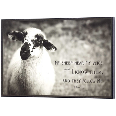 Makinley " My Sheep Follow "