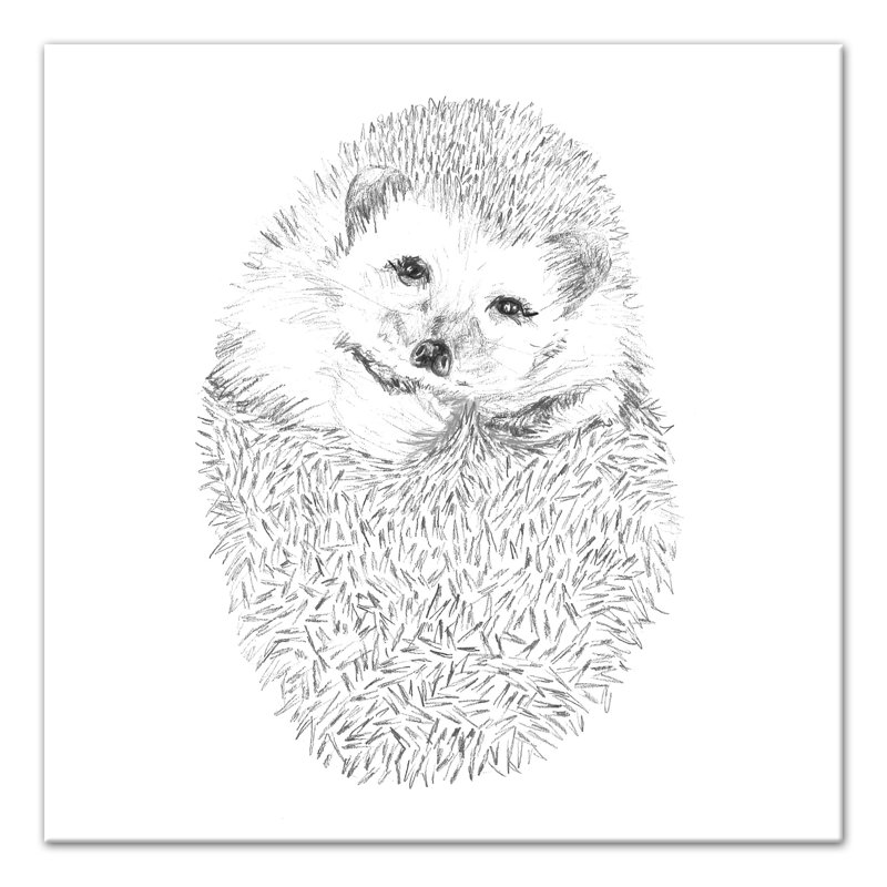 " Cute Hedgehog " Painting Print, 16" H x 16" W x 1.25" D