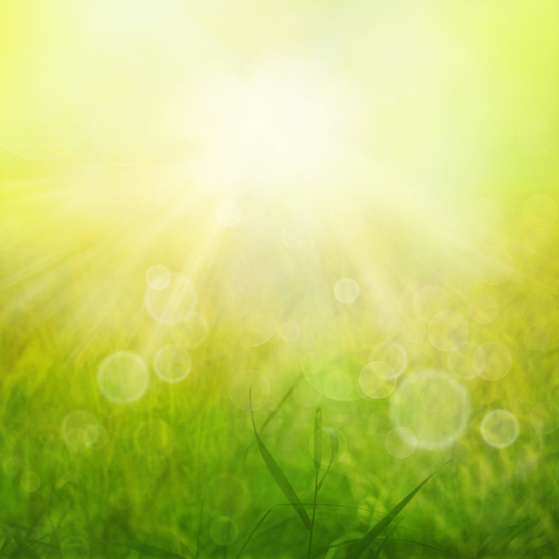 Herbe verte - photographie sur toile tendue, H 30 po x l 30 po