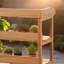 Banc de rempotage extérieur en bois de sapin 3 couches-1378949289