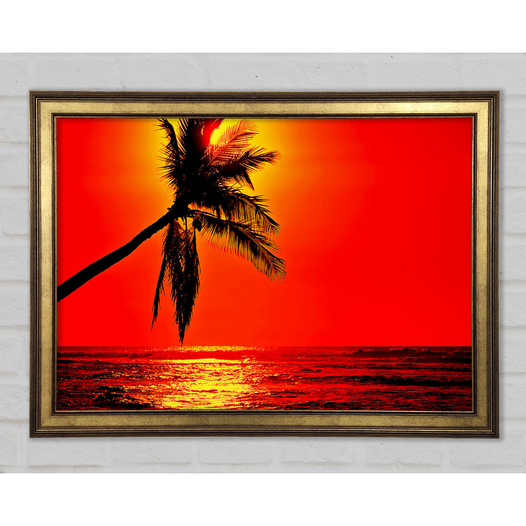 Palmtree Sunblaze Gerahmter Druck