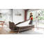 Charming Charlie 3 Seater Sofa Bed-110836367