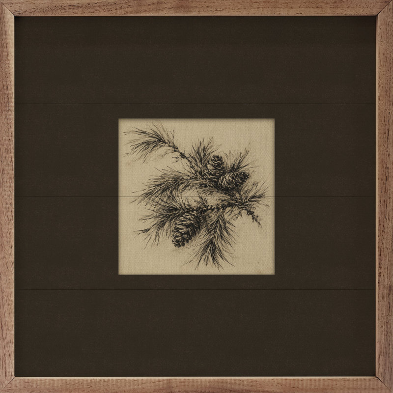 Brown Pine Cone Study, 8x8