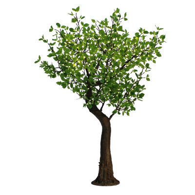 7 pieds de pommier, lumières blanches chaudes, feuilles de pommier vert