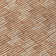  Maliana Area Rug