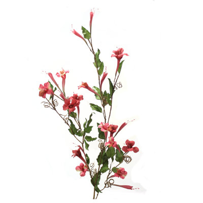 Ange branche de trompette