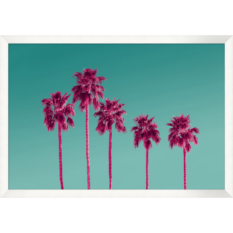 «Pink Palms 2» par Christopher Kennedy - Photographie d'un seul cadre