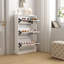 Armoire à chaussures moderne avec petit miroir
