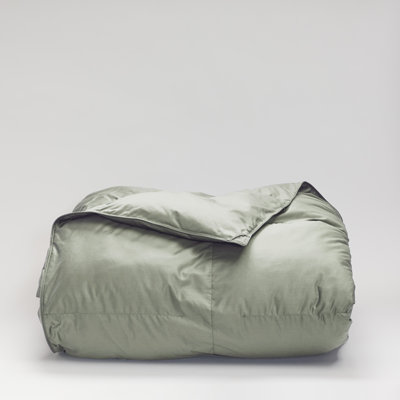 Cuddledown Chroma Down Alternative Comforter