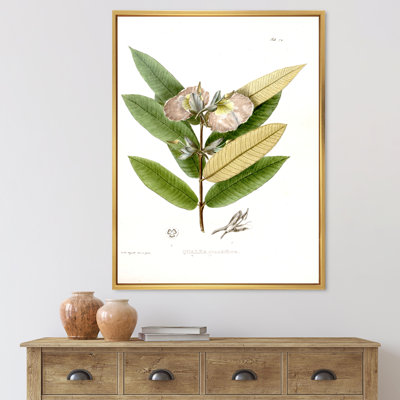«Vintage Blossoming Flower II», peinture sur toile