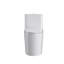 Toilettes allongées à fixation au sol 1,6 gallons GPF Rainlex (siège inclus) Rainlex-100078672