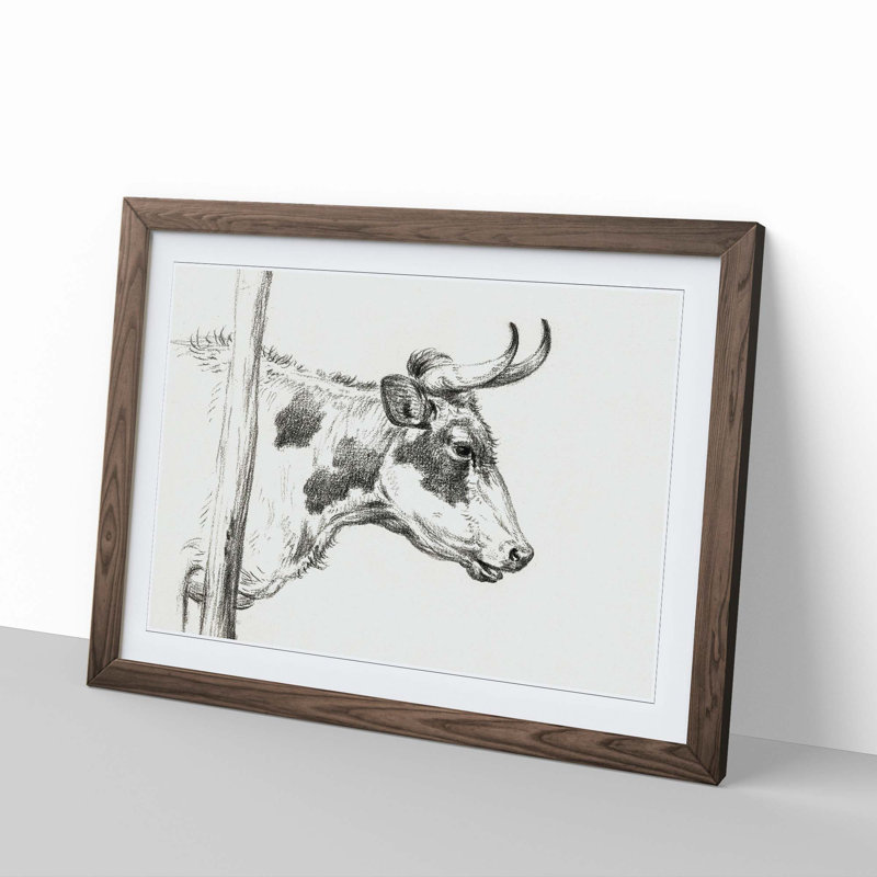 Horns of the Cow by Jean Bernard - Picture Frame Drawing Print, 48cm H x 65cm W x 2cm D, Walnut Framed