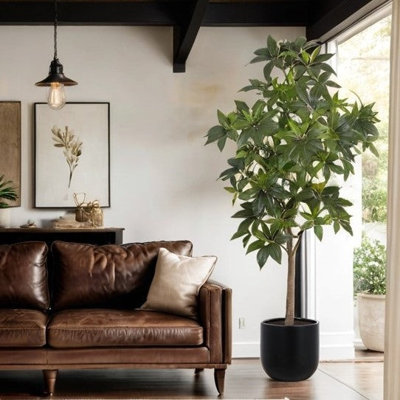 TREE MONEY POT 7FT