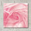 «Georgia Pink» par Keri Bevan-1613435566
