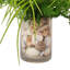 Allium and Fern Floral in Vase with Shells