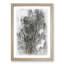 A Forest in Italy - Picture Frame Painting Print-56868038-56868041