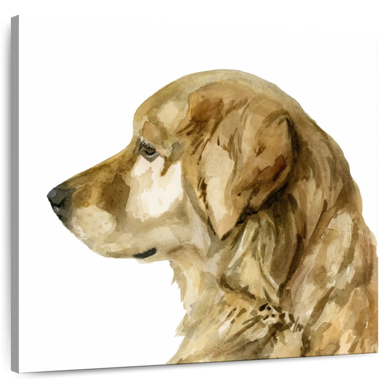 Brampt Pet Profile I