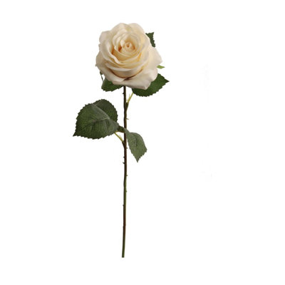 20" Open Rose Stem - 12 Pack