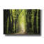 «Parmi les géants au printemps» par Martin Podt, art mural sur toile-512687102