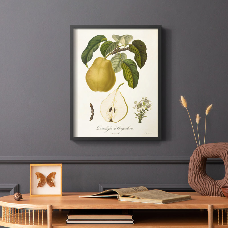Vintage Pears I, reproduction encadrée - bois massif, H 10 po x l 8 po, Noir