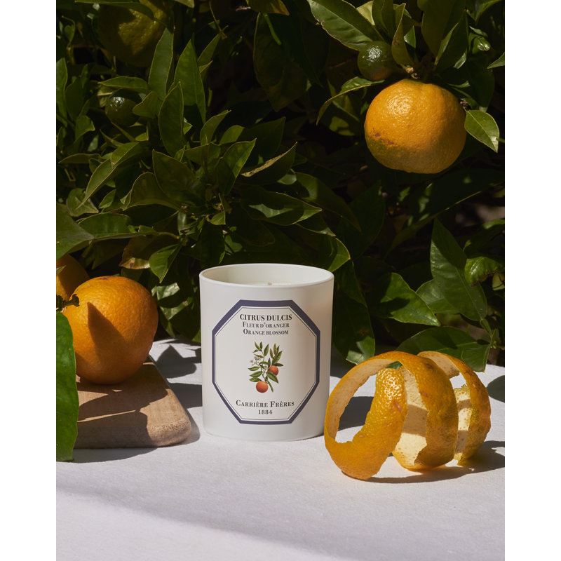Orange Blossom Reed Diffuser