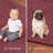 Modern Plush Solid Color Rug - Cranberry, Pet and Kids Friendly Rug-1353588132