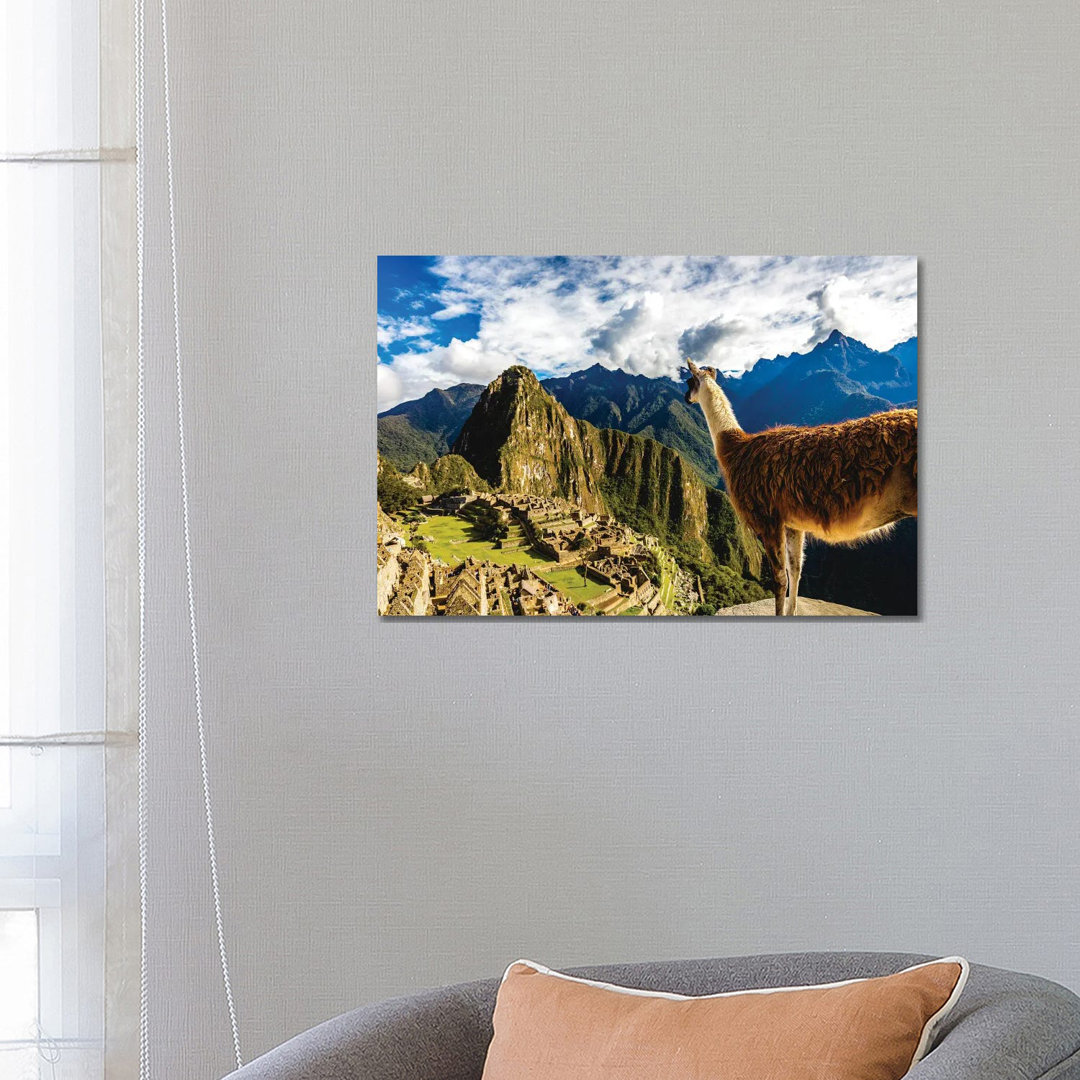 Peru Machu Picchu Lama Overlooking von Alex G Perez - Galerie-umwickelte Leinwand Giclée auf Leinwand