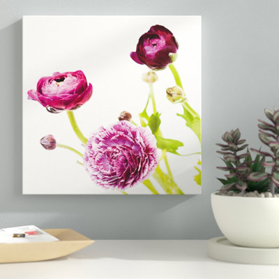 " Spring Ranunculus II " by Laura Marshall