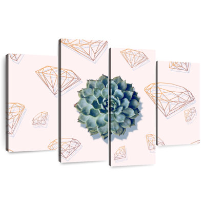 Cool Succulent Plant