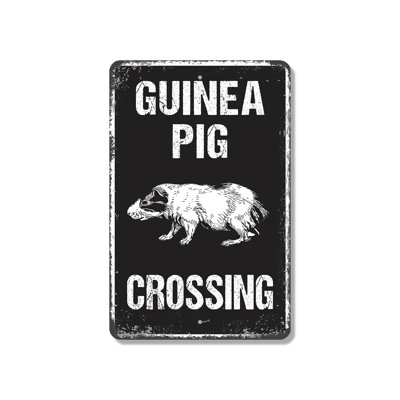 Pet Guinea Pig Crossing (2 Pack) 8 Inch x 12 Inch Plastic Sign