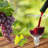 18oz. Handmade Wine Glass Set-64625369