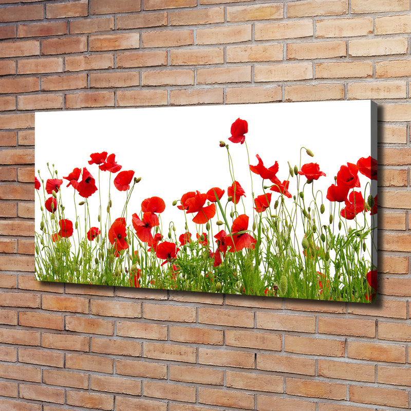 Maki - No Frame Print on Canvas