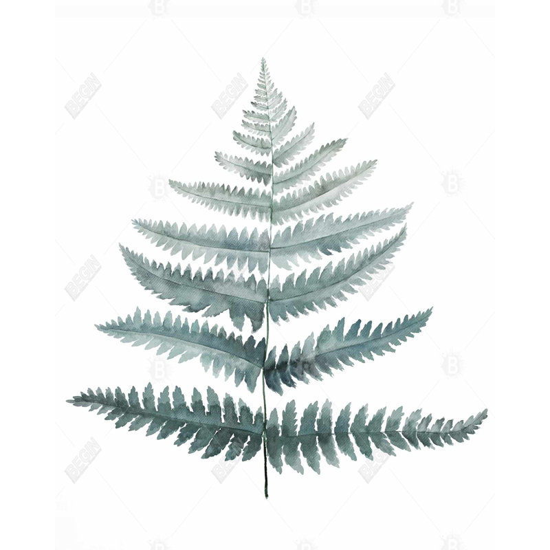 Fern Print On Canvas