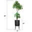 Pachira artificiel en pot 87,5 po Hickey