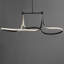Luminaire suspendu à DEL 2 lumières Aliaya