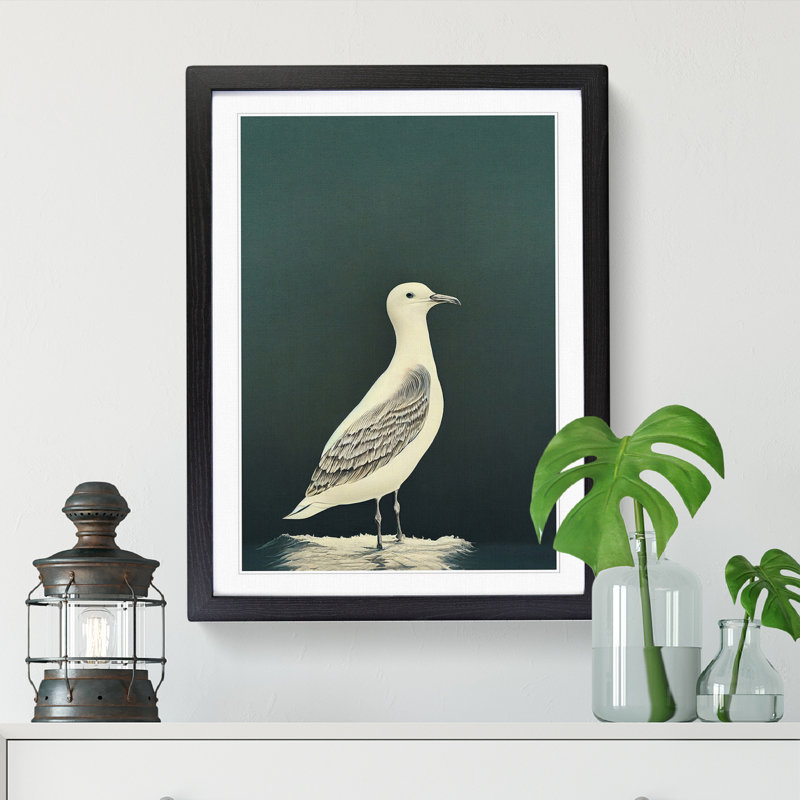 Seagull Portrait Vol.1 - Single Picture Frame Print, Black, 46cm H x 34cm W x 2cm D