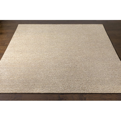 Hand Knotted Wool Indoor Rug