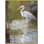 Birds Framed Canvas