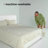 Nena Linen Standard Bedding-782679907-782679904