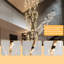 Lustre moderne moderne en acrylique doré-1782186237