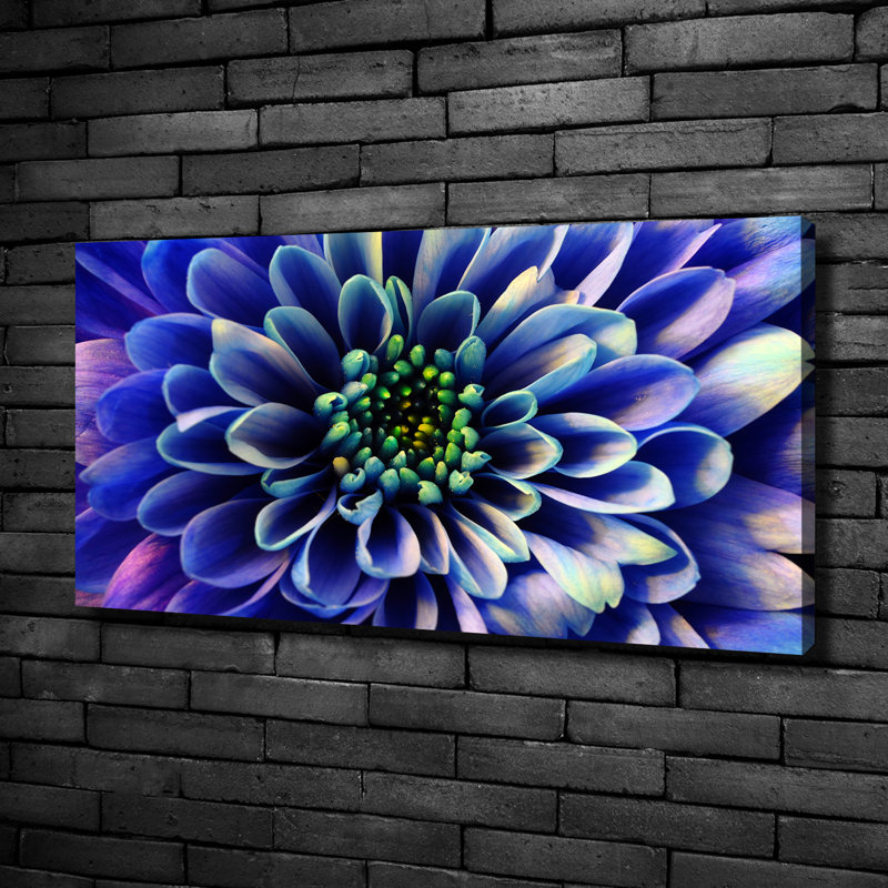 Aster - Wrapped Canvas Print