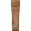 Attelle de genou olympique-31229645-31230593-29309935