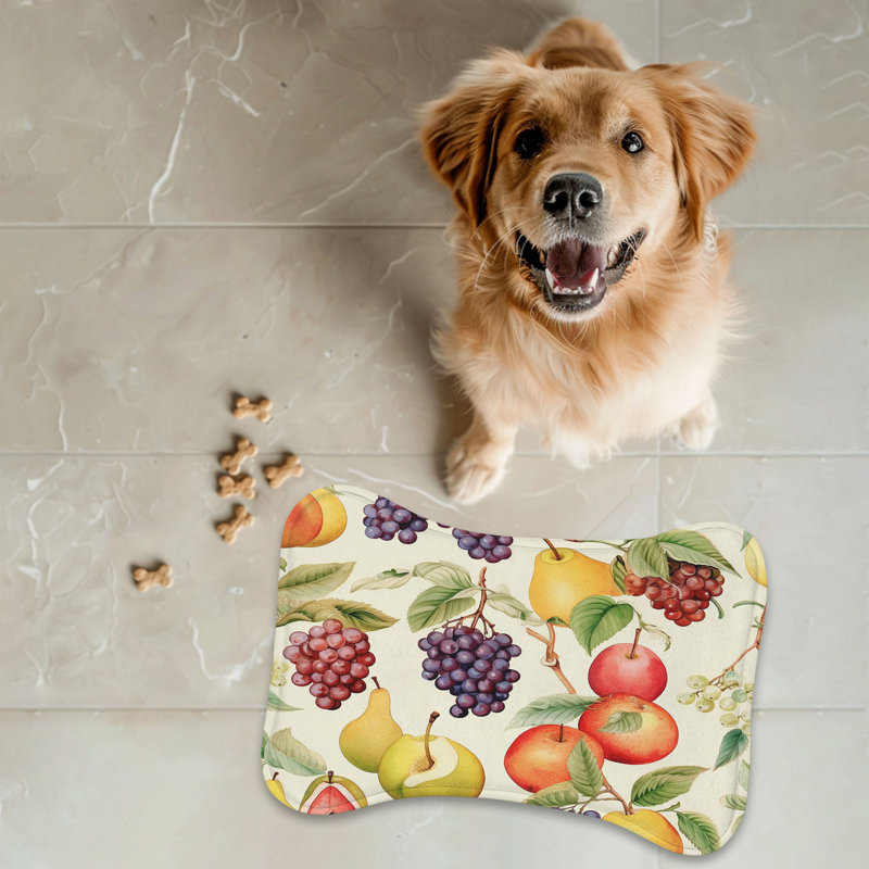 Fruit Splash - 1 Piece Bone Shape Feeding Mat