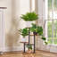 Étagère à plantes à 3 niveaux, petite tablette en métal et en bois pour plusieurs plantes d'intérieur, présentoir d'angle pour pots de fleurs, idéal pour le salon, la chambre ou le balcon.